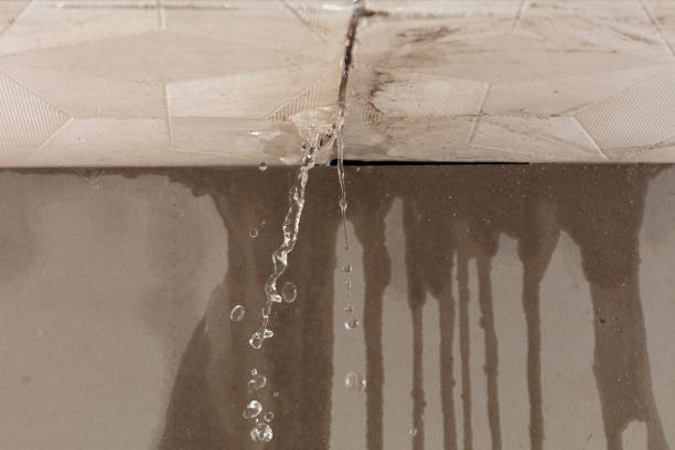 Professional Water Damage Inspection technician working in Hensonville, NY